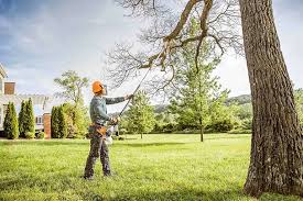 Best Tree Planting Service  in USA